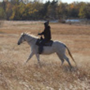 Meet your Posher, Surrealart